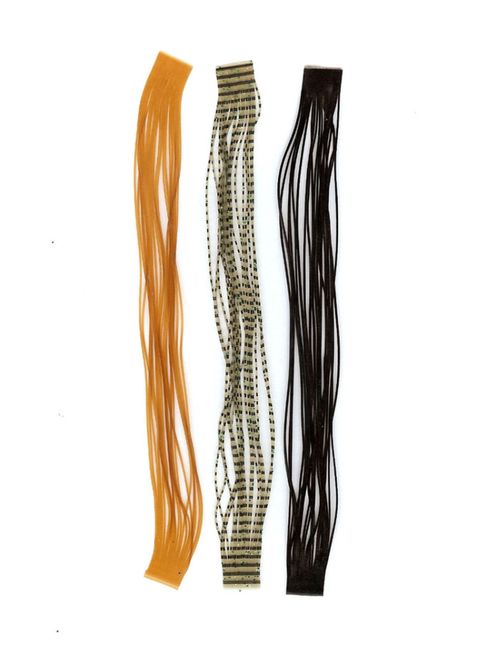 Hovedbilde Sili Legs (Nymph)